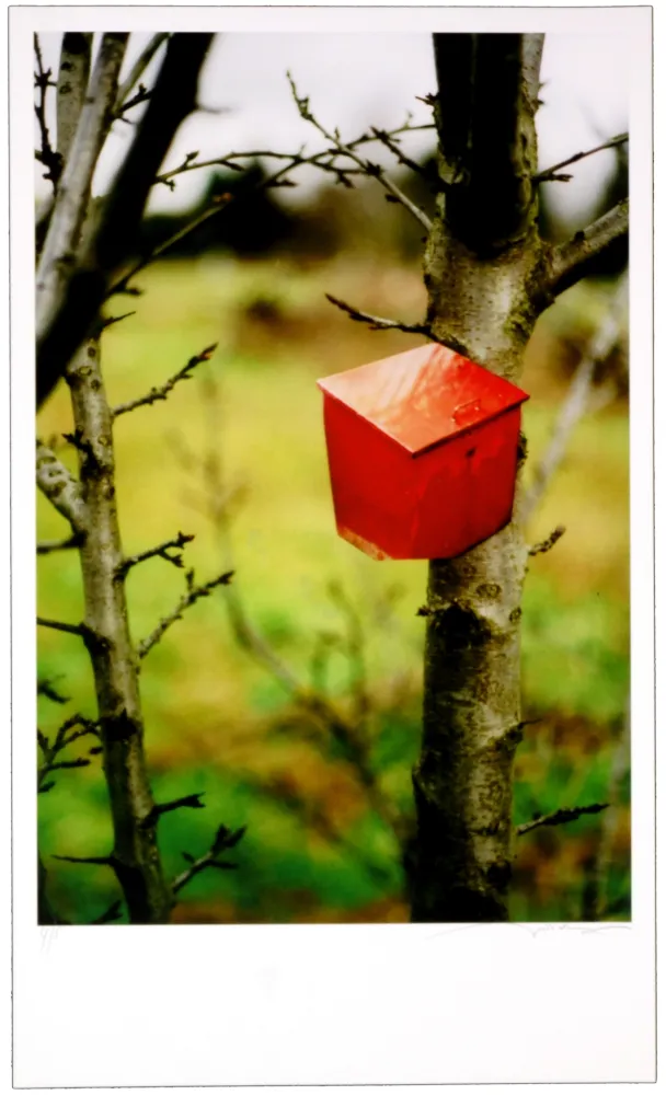 Gravura Digital Leick - Greffes et greffons IV