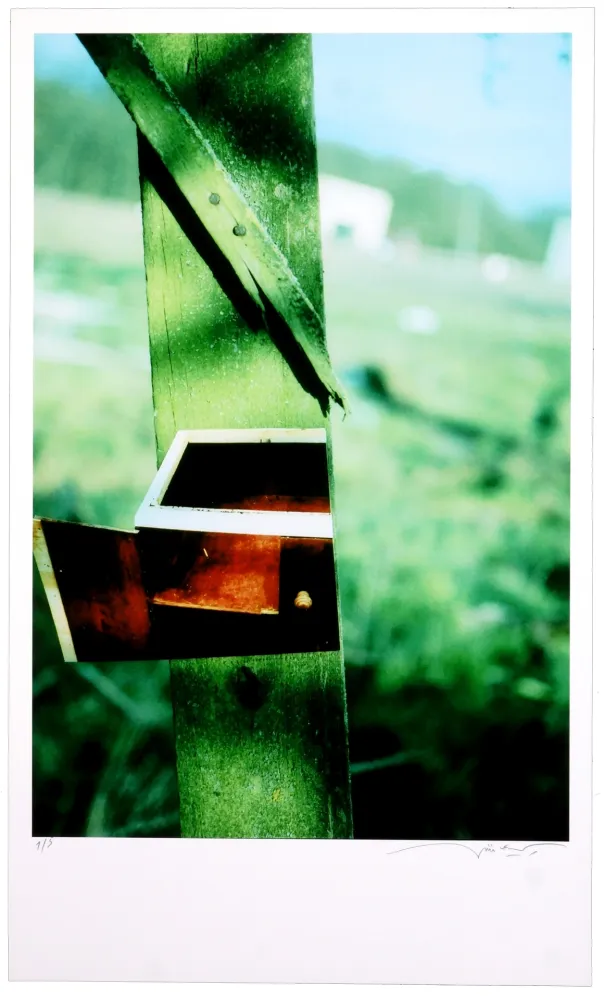 Gravura Digital Leick - Greffes et greffons VI