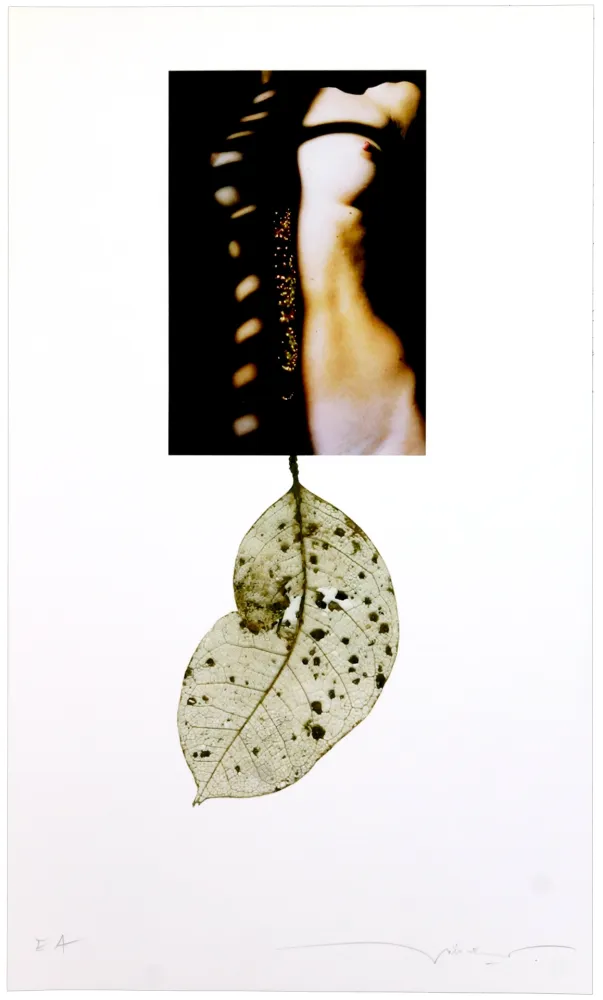 Gravura Digital Leick - Sans titre I