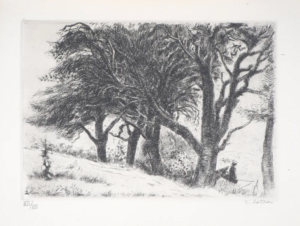 Gravura Lotiron - Normandie, les poiriers