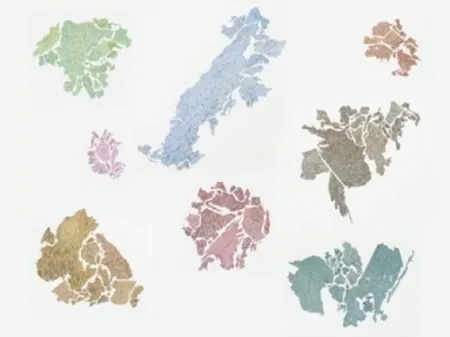 Litografia Macchi - New World