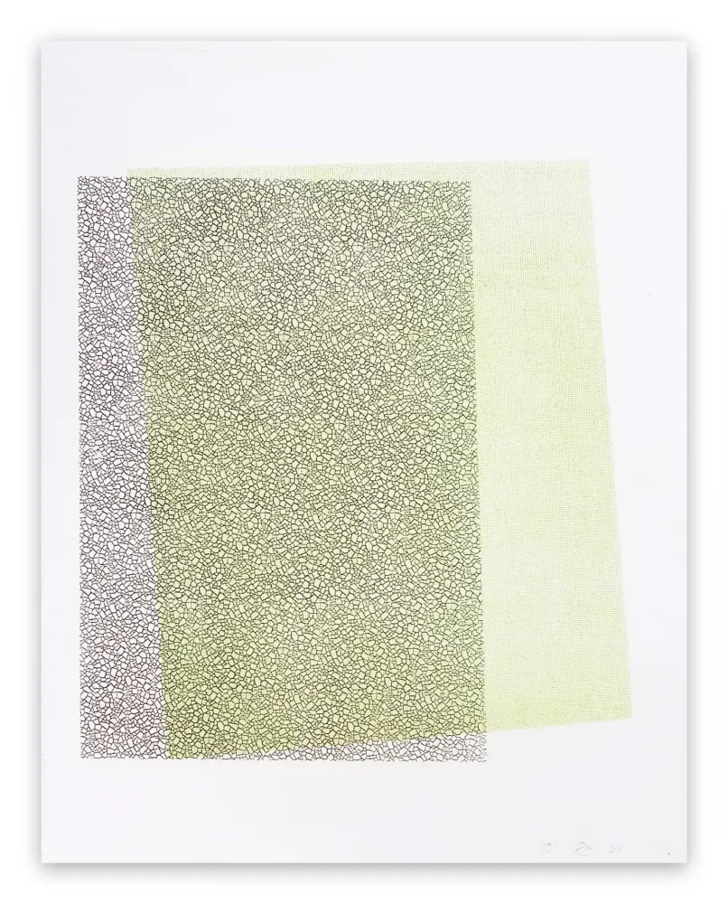 Relevo Maine - Pitched Planes 131