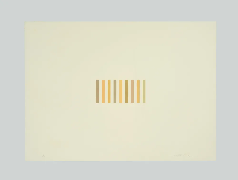 Água-Forte E Água-Tinta Marchegiani - Grammature (D)