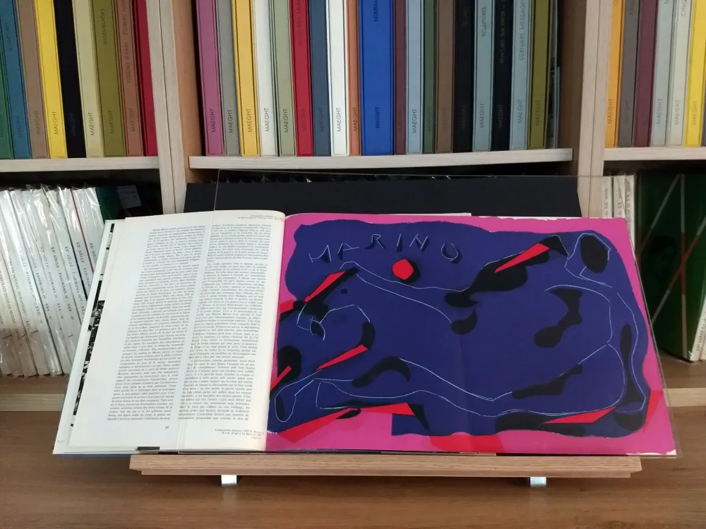 Livro Ilustrado Marini - Hommage