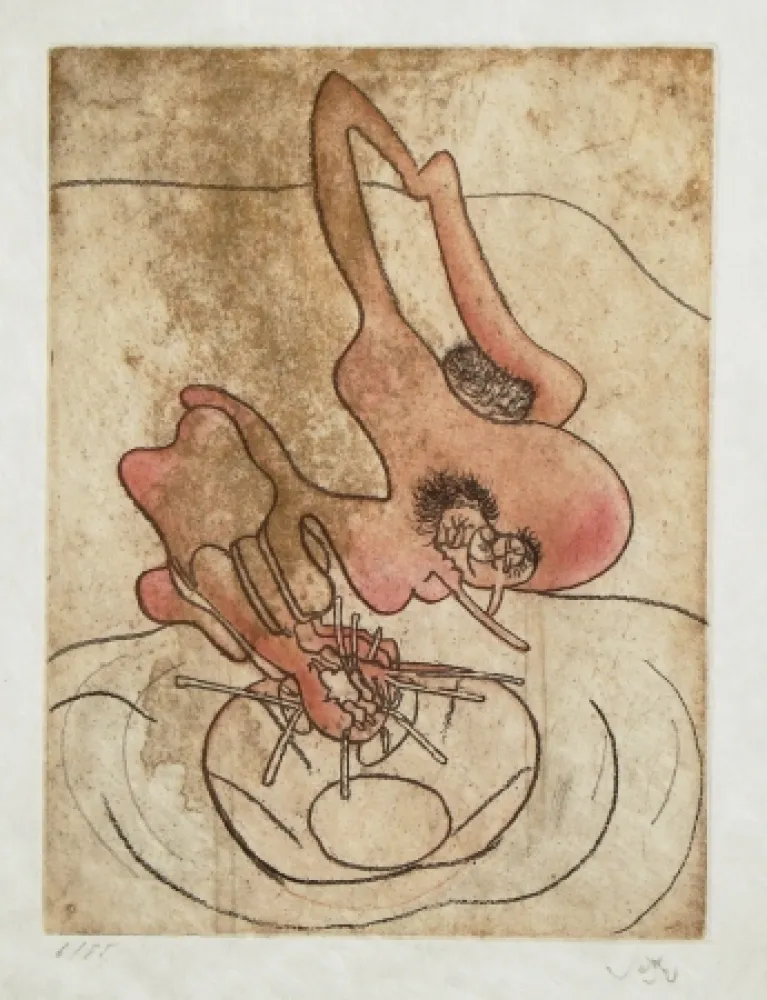 Água-Forte E Água-Tinta Matta - FMR