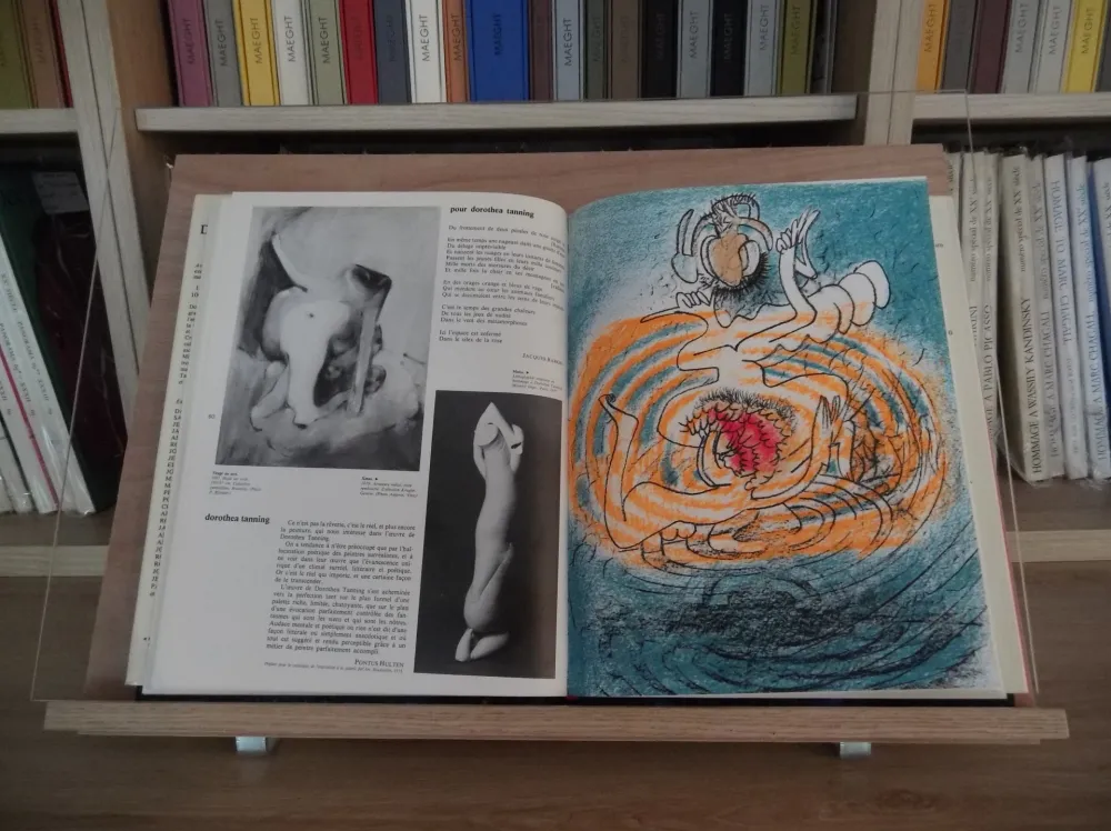 Livro Ilustrado Matta - Xxe Tanning