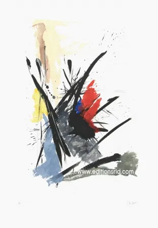 Água-Forte E Água-Tinta Miotte - L'iroquois