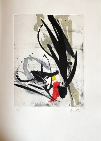 Água-Forte Miotte - Près des murs