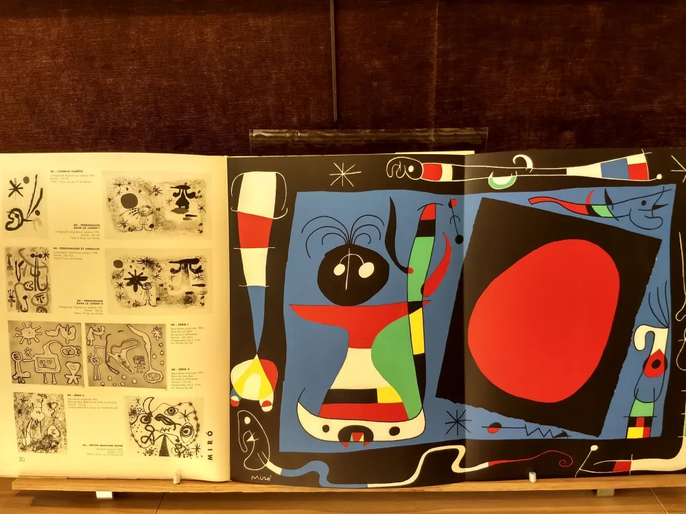 Livro Ilustrado Miró - 10 ans edition