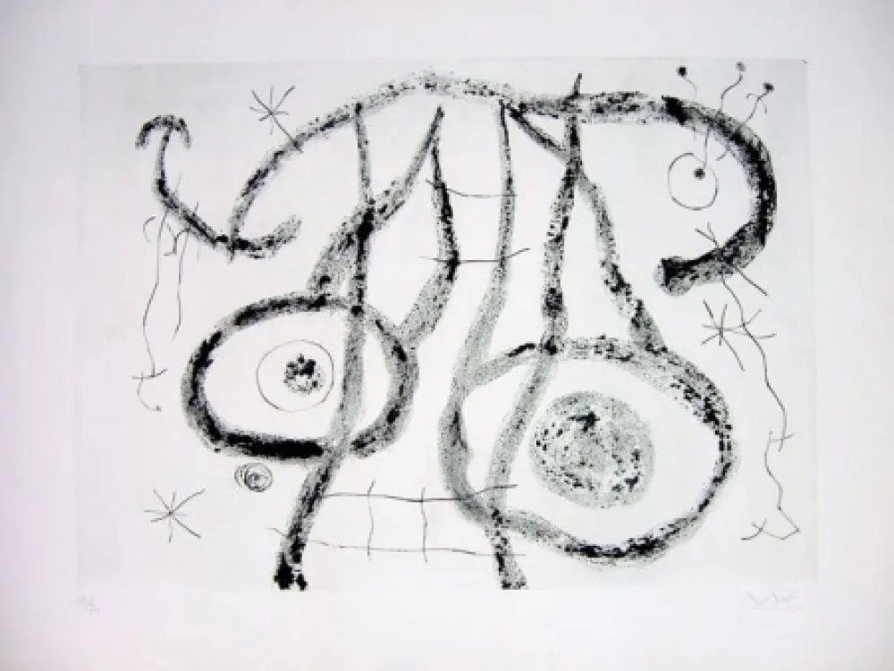 Ponta-Seca Miró - EL AGUADOR V