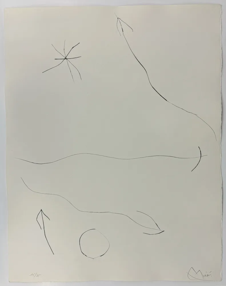 Ponta-Seca Miró - Journal d'un graveur II