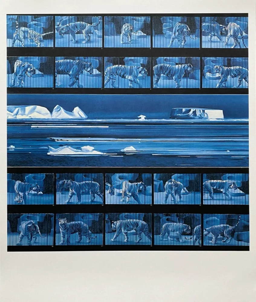 Cartaz Monory - Dream tiger No 4