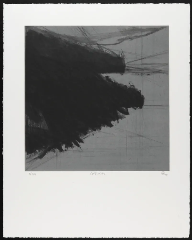 Gravura Moriette - CAT XVIII