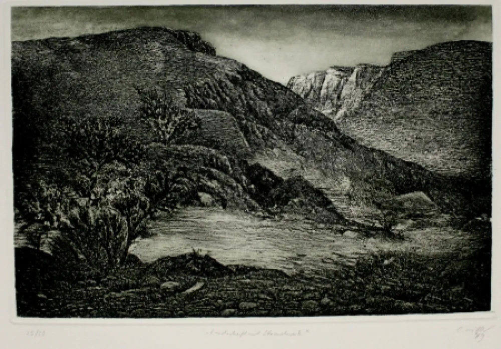 Água-Forte E Água-Tinta Müller - Landschaft mit Strauchwerk / Landscape with Bushes