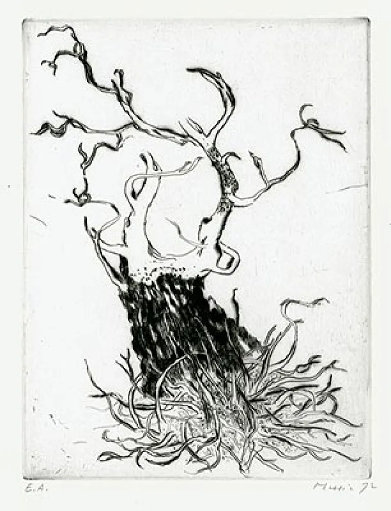 Gravura Music - Motif Végétal