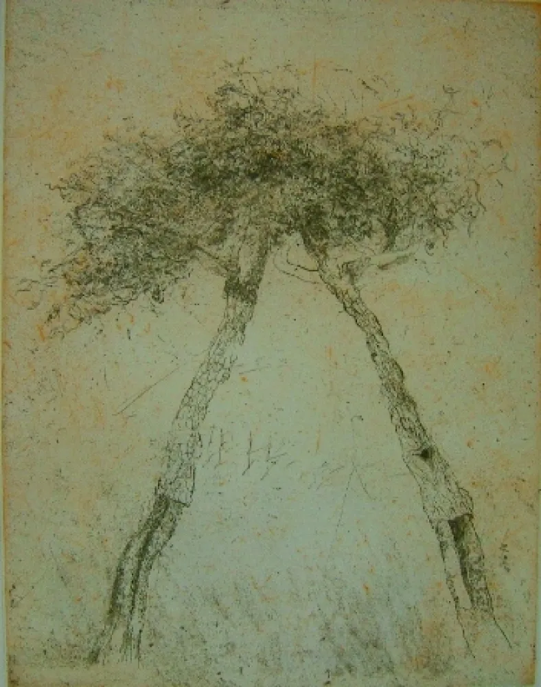 Água-Tinta Music - Motif vegetal