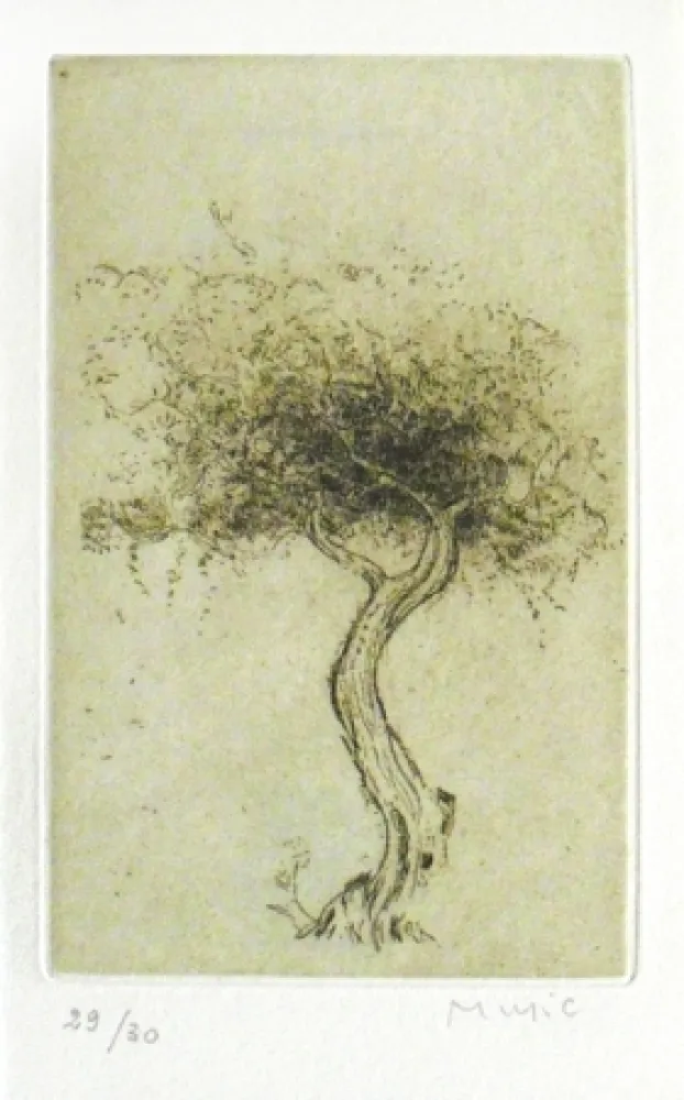 Livro Ilustrado Music - Prières