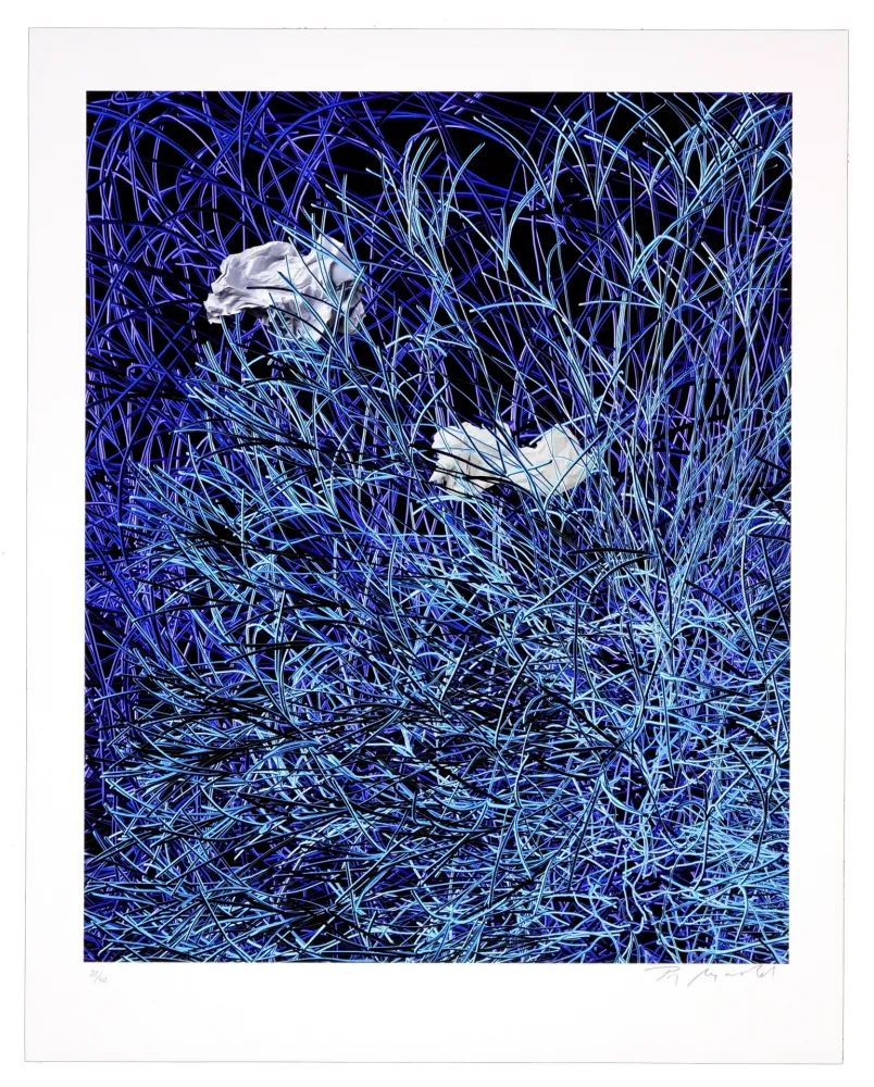 Gravura Digital Myrvold - Paper in Blue Wires