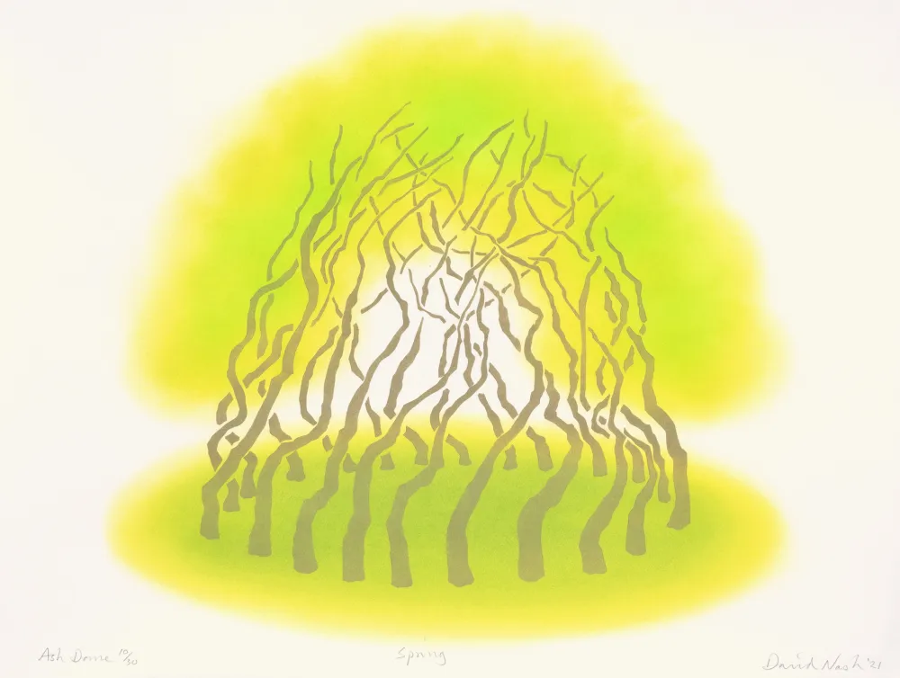 Estêncil Nash - Ash Dome, Spring