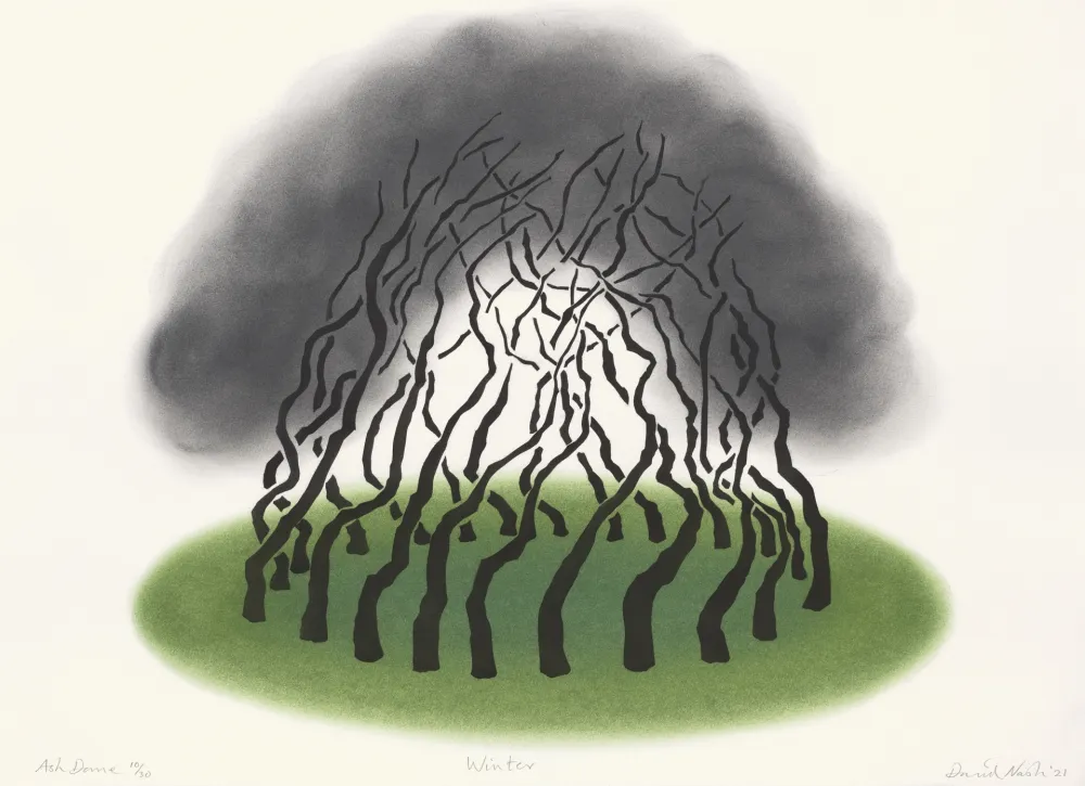 Estêncil Nash - Ash Dome, Winter