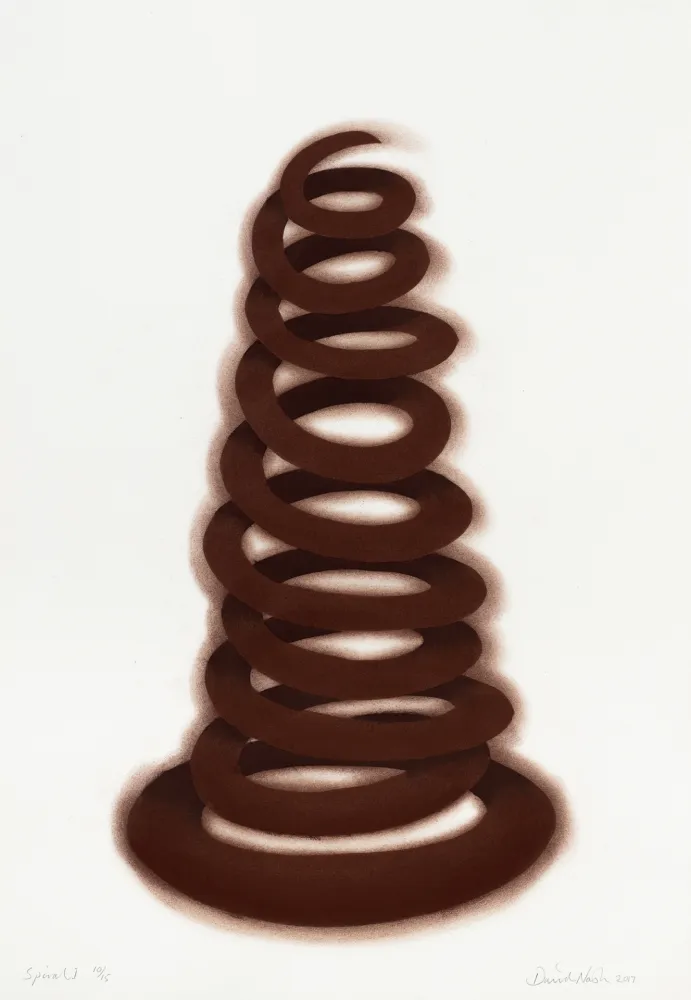 Estêncil Nash - Spiral I 