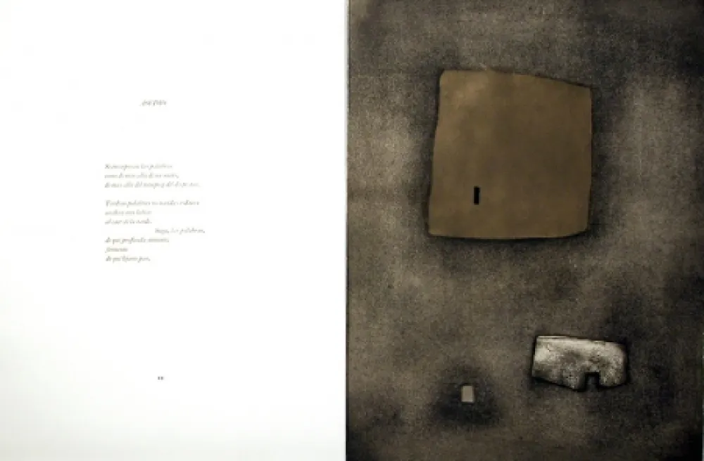 Livro Ilustrado Nóvoa - Alén