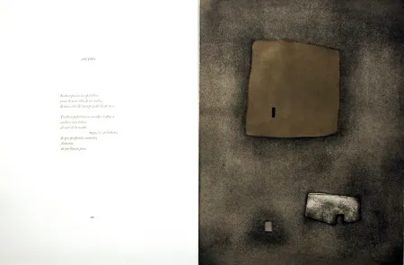 Livro Ilustrado Nóvoa - Alén