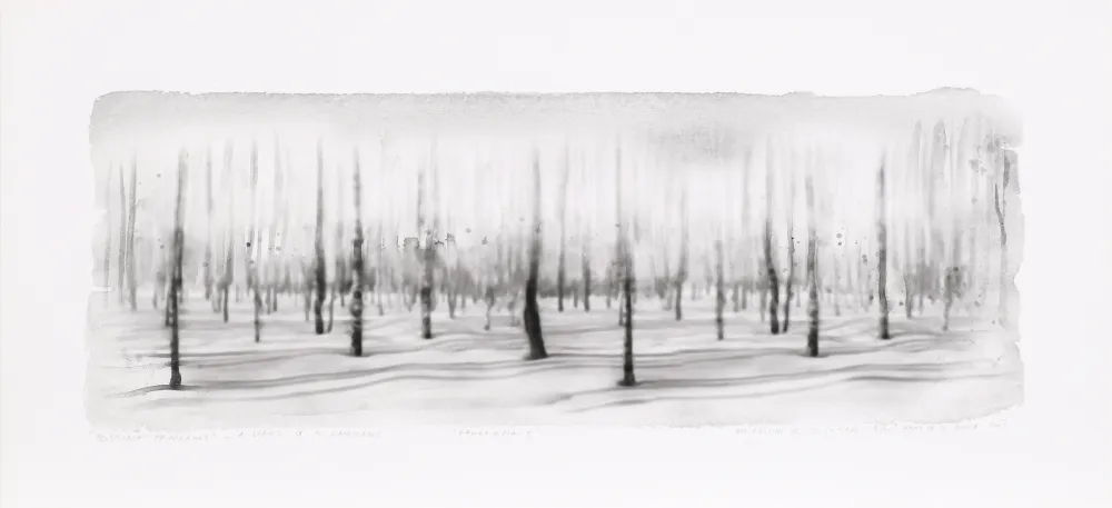 Gravura Digital Op De Beeck - Panorama 5