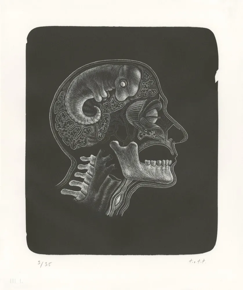 Litografia Ott - Idee (Idée)