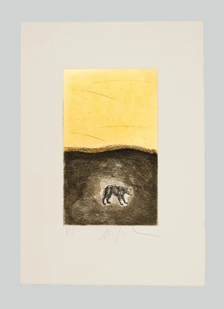 Água-Forte E Água-Tinta Paladino - Cane