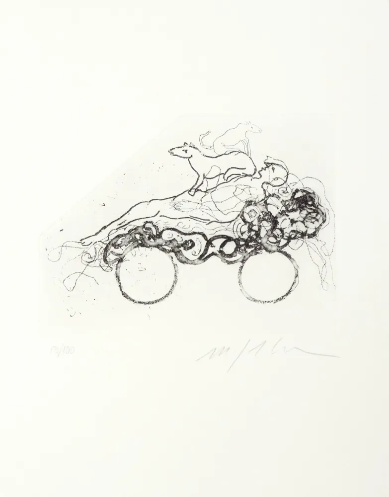 Água-Forte Paladino - Composition