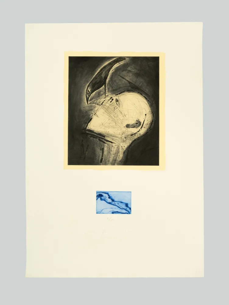 Água-Forte E Água-Tinta Paladino - Senza titolo