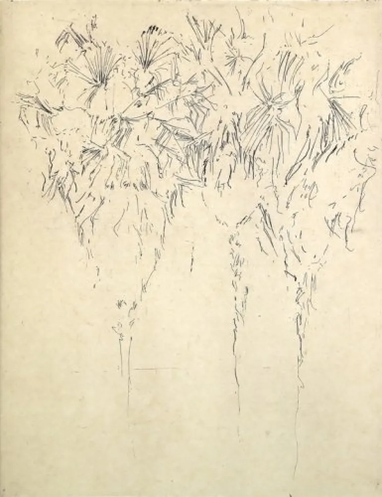 Gravura Paul P - Tres palmeres