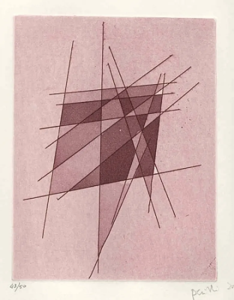 Livro Ilustrado Perilli - Sylvatica