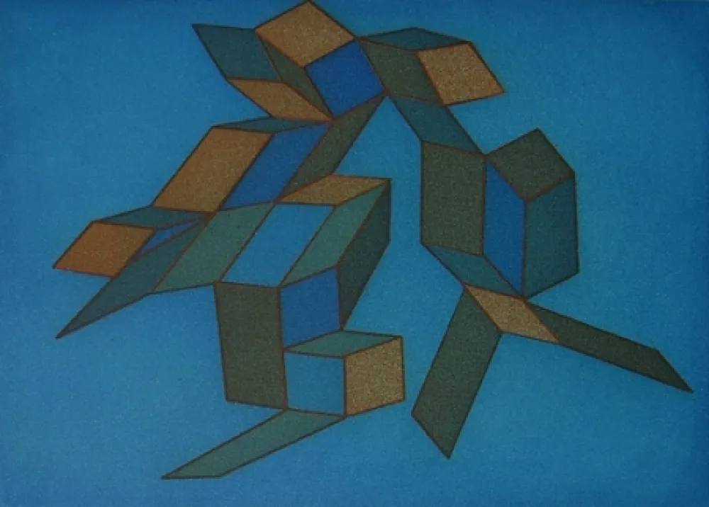 Água-Forte E Água-Tinta Perilli - Venturiana