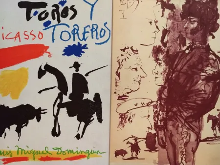 Livro Ilustrado Picasso - Toros Tore Ros