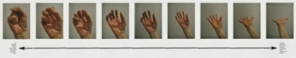 Múltiplo Piper - Mokshamudra Progression