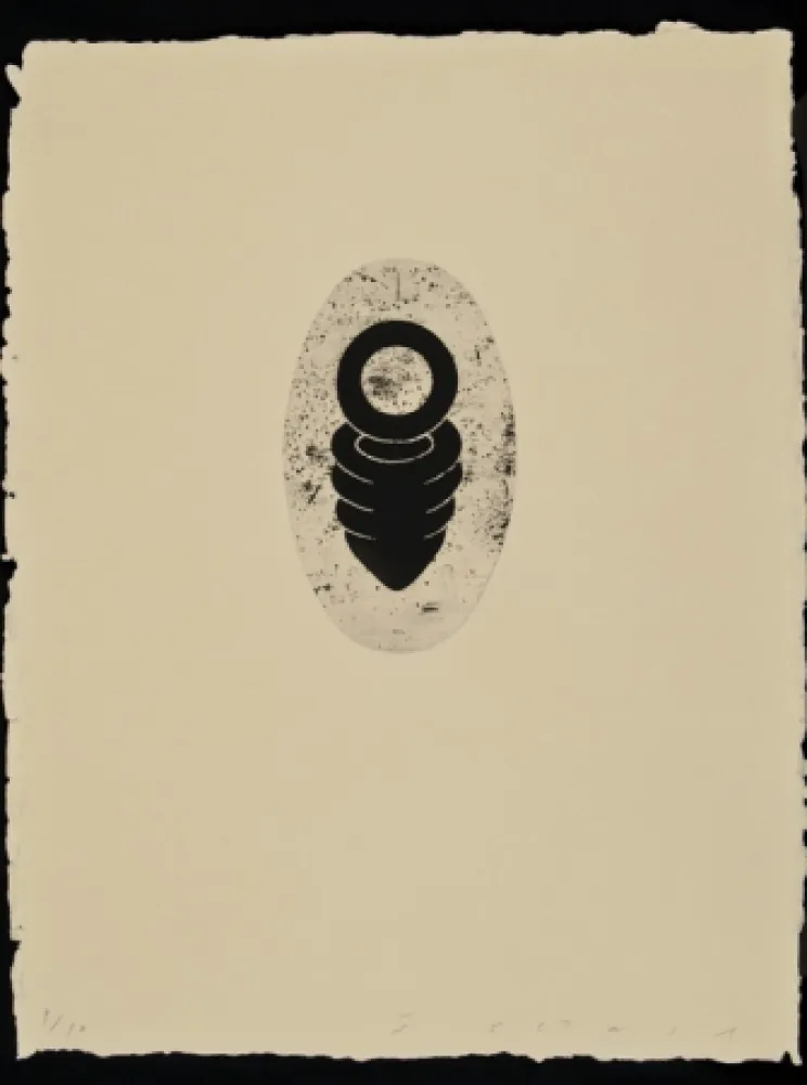 Água-Forte E Água-Tinta Plensa - Suite Li