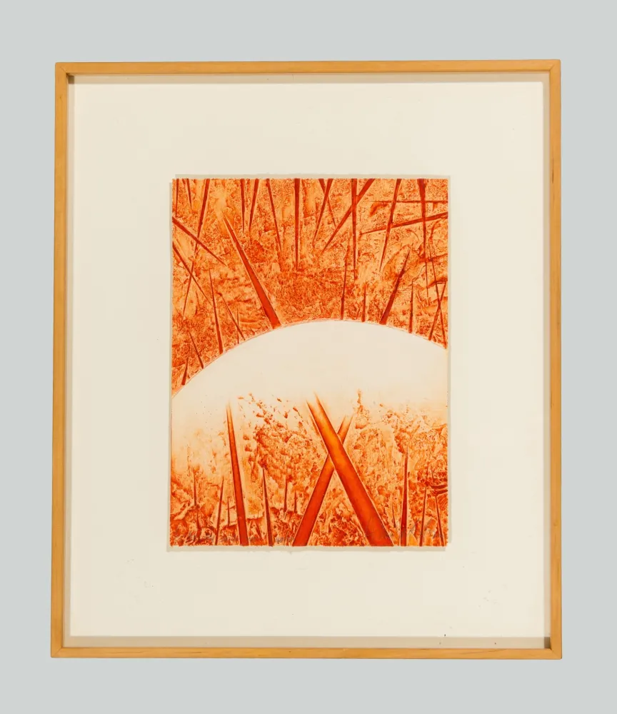 Relevo Pomodoro - Composizione