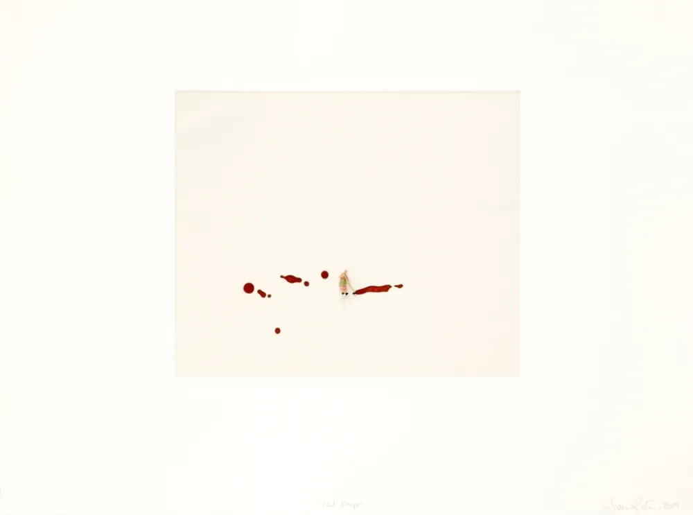 Gravura Porter - Red drips