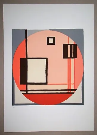 Litografia Radice - Compositione astratta rosa