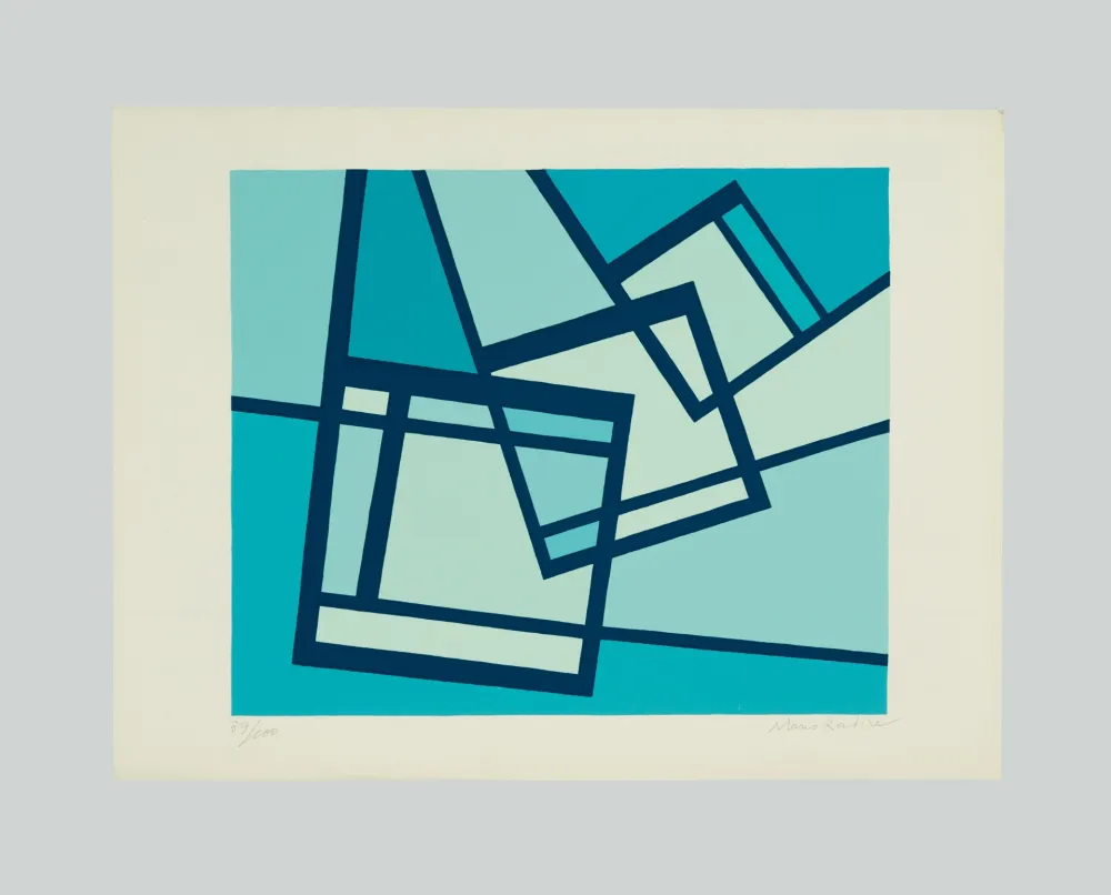 Serigrafia Radice - La distruzione