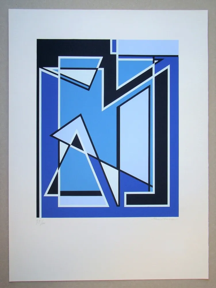 Serigrafia Radice - Senza Titolo