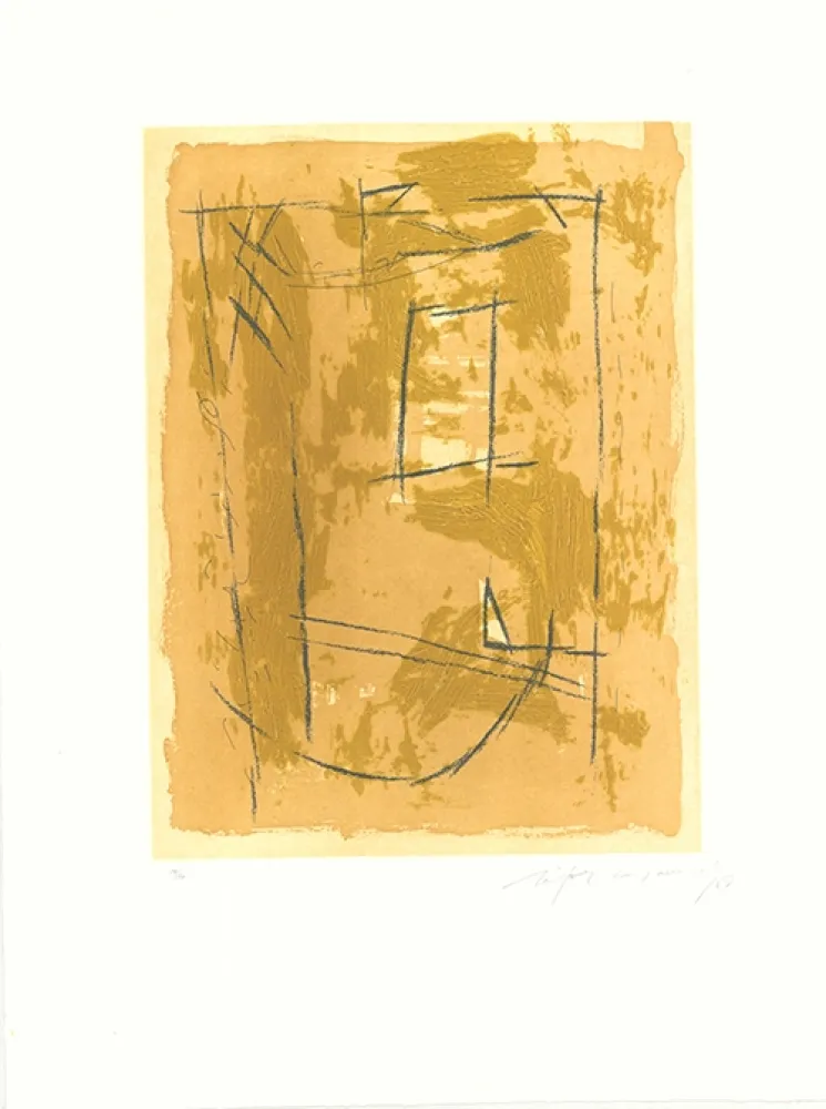 Água-Forte E Água-Tinta Ràfols Casamada - Circ-4