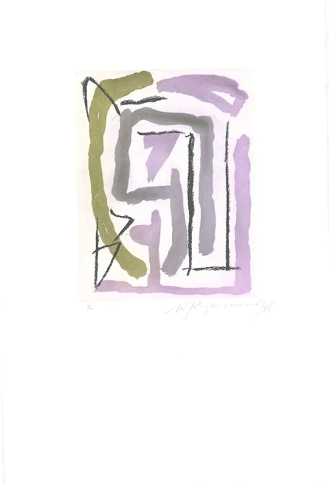 Água-Forte E Água-Tinta Ràfols Casamada - Laberint-4