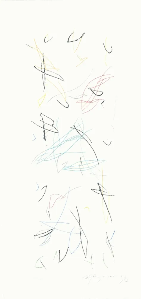 Gravura Ràfols Casamada - Ocells variant 1-2