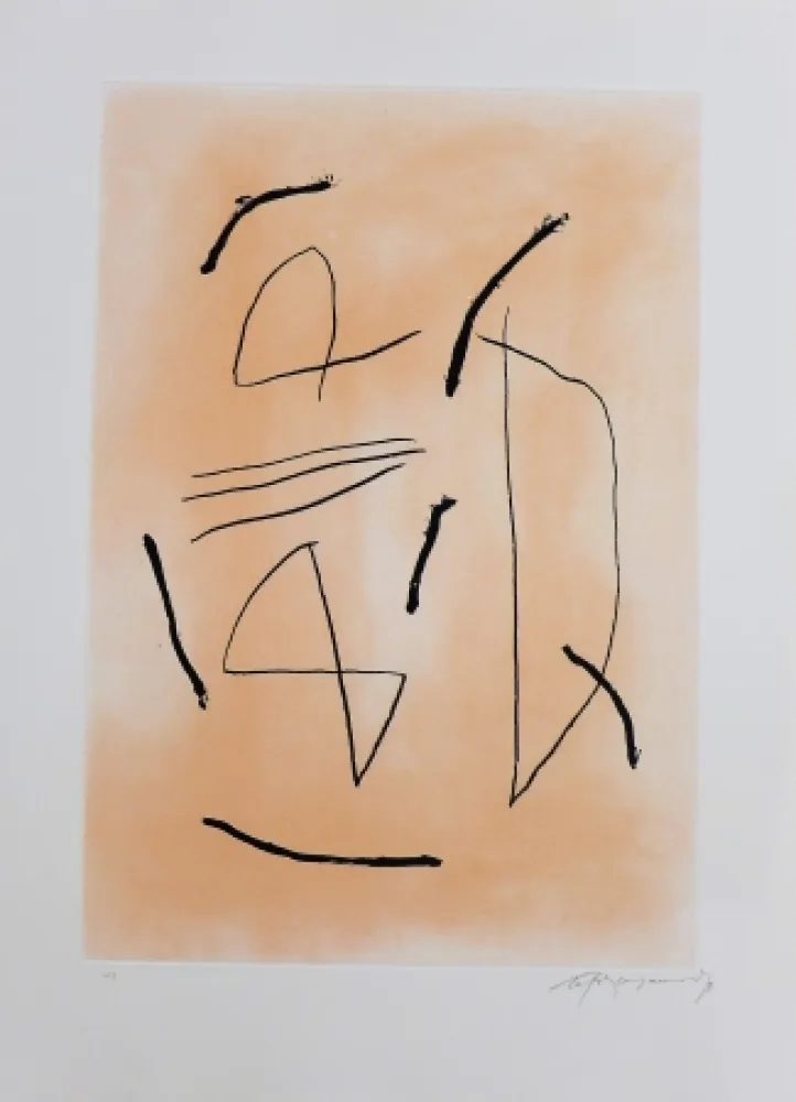 Gravura Ràfols Casamada - Signe i color-4 