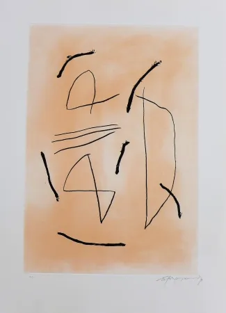 Gravura Ràfols Casamada - Signe i color-4 