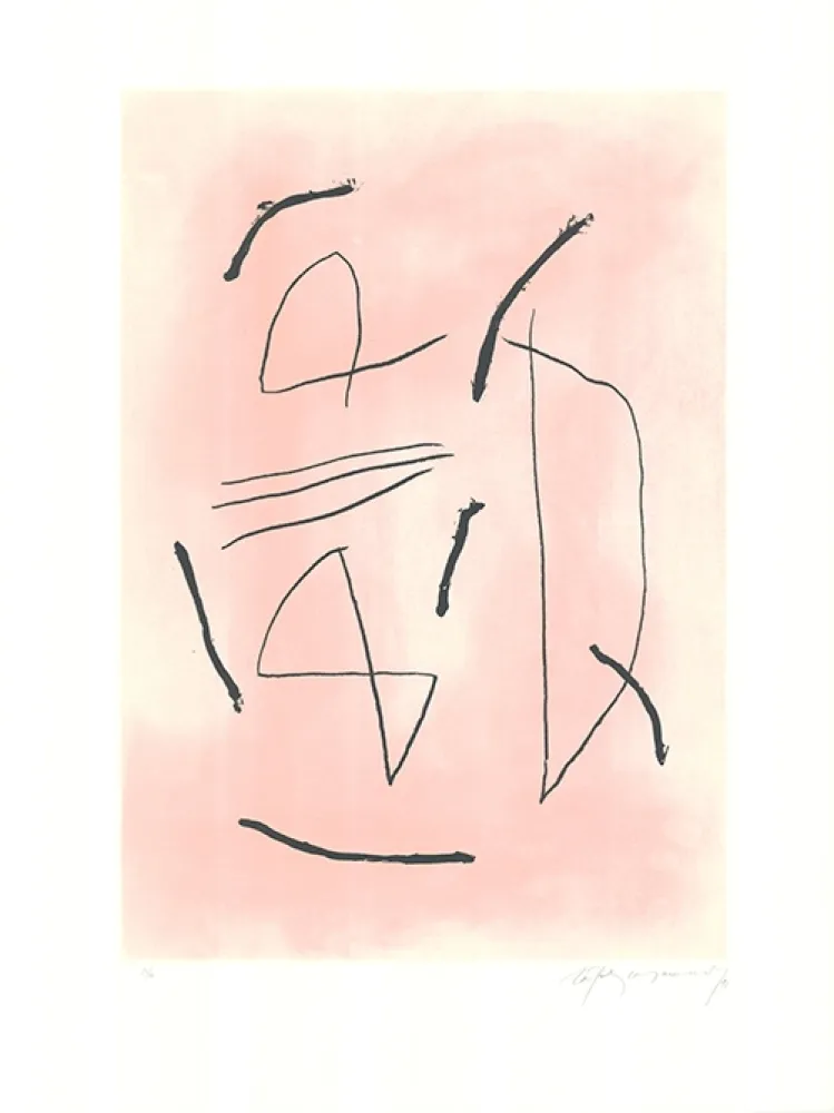 Água-Forte E Água-Tinta Ràfols Casamada - Signe i color 4