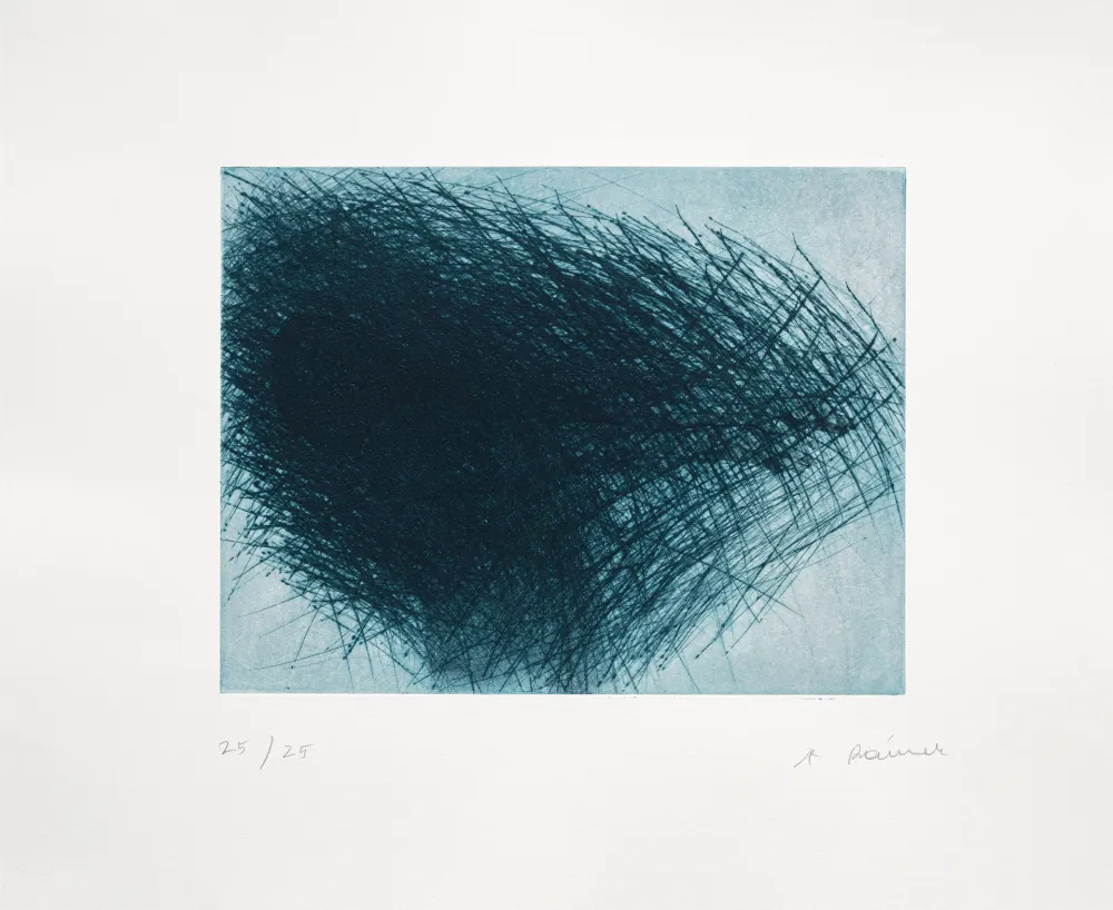 Gravura Rainer - Schwarm